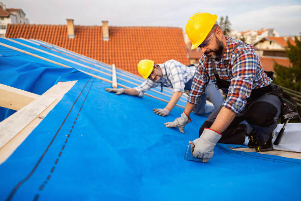 Best Metal Roofing Contractor  in Long Grove, IL